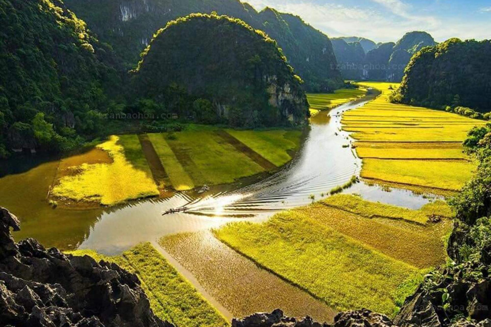 The Pineapple House Bed & Breakfast Ninh Binh Exterior foto